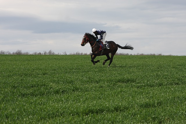 Copa del Rey de Raid Ecuestre