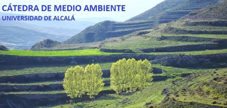 Cursos gratuitos de medio ambiente