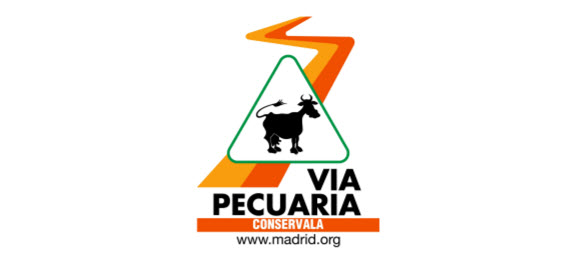 Deslinde de la Vía Pecuaria Cañada Real de Merinas