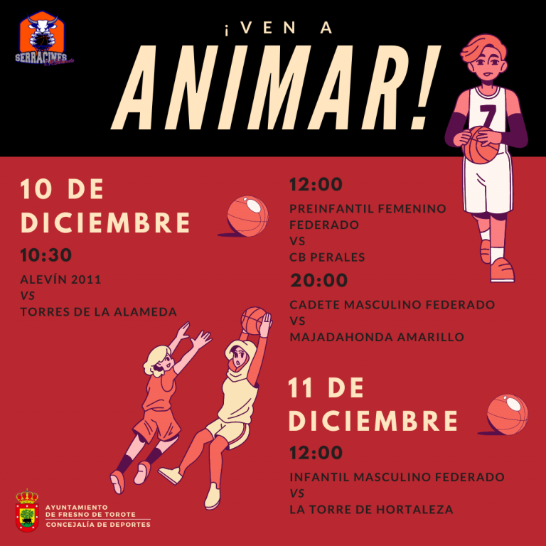 Partidos de baloncesto, 10 y 11 de diciembre: ¡Ven a animar!