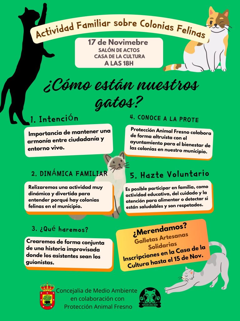 ACTIVIDAD FAMILIAR SOBRE COLONIAS FELINAS