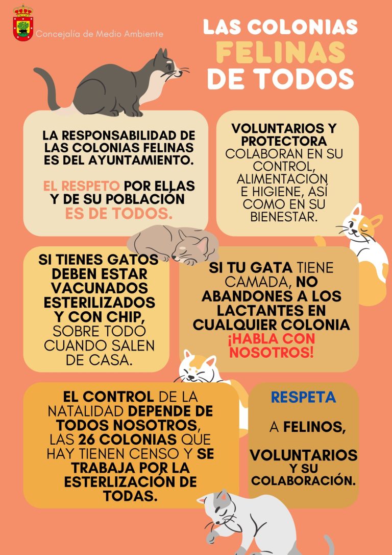 LAS COLONIAS FELINAS DE TODOS