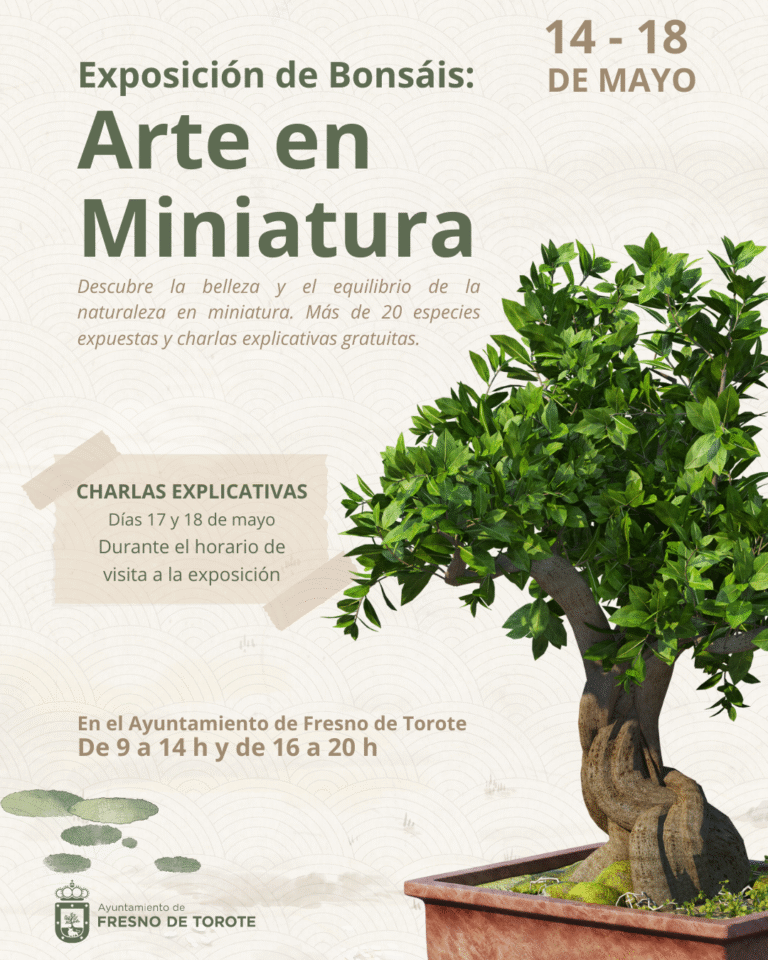 El Ayuntamiento organiza una exposición de bonsáis con más de 20 especies expuestas