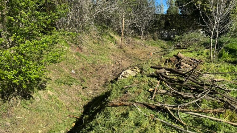 Labores de limpieza en el arroyo del Charco del Muerto para prevenir incendios