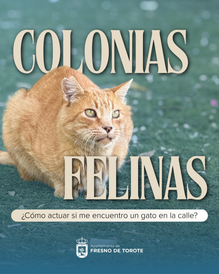 Protocolo de actuación ante la presencia  de gatos en la vía pública